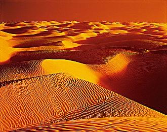 《方块方舟》夏日运动会活动开启报名，DLC、限定时装、黄金龙皮肤等你赢