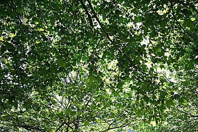 《辛特堡传说》“花式狩魔”内容更新上线