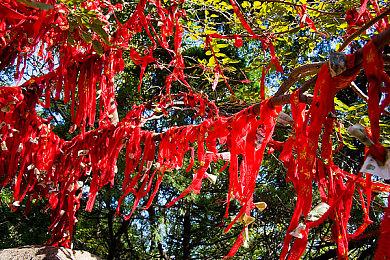 《DREDGE》主要场所及功能介绍！